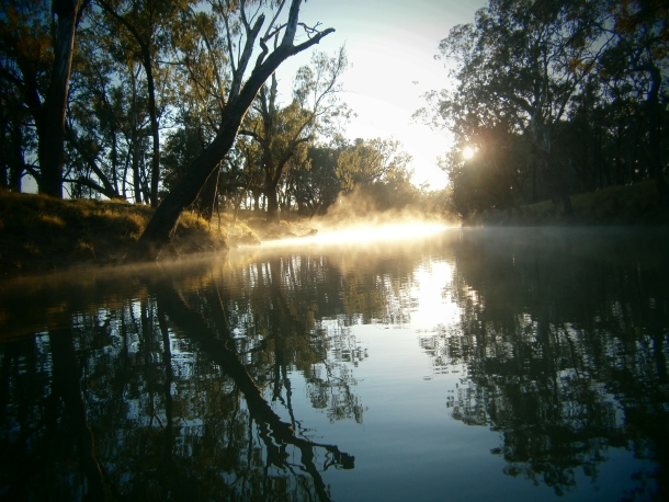 Report: The Condamine cod trail